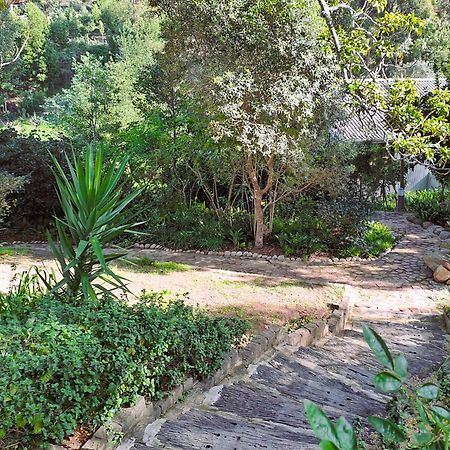 Badger'S Lodge Knysna Exterior foto