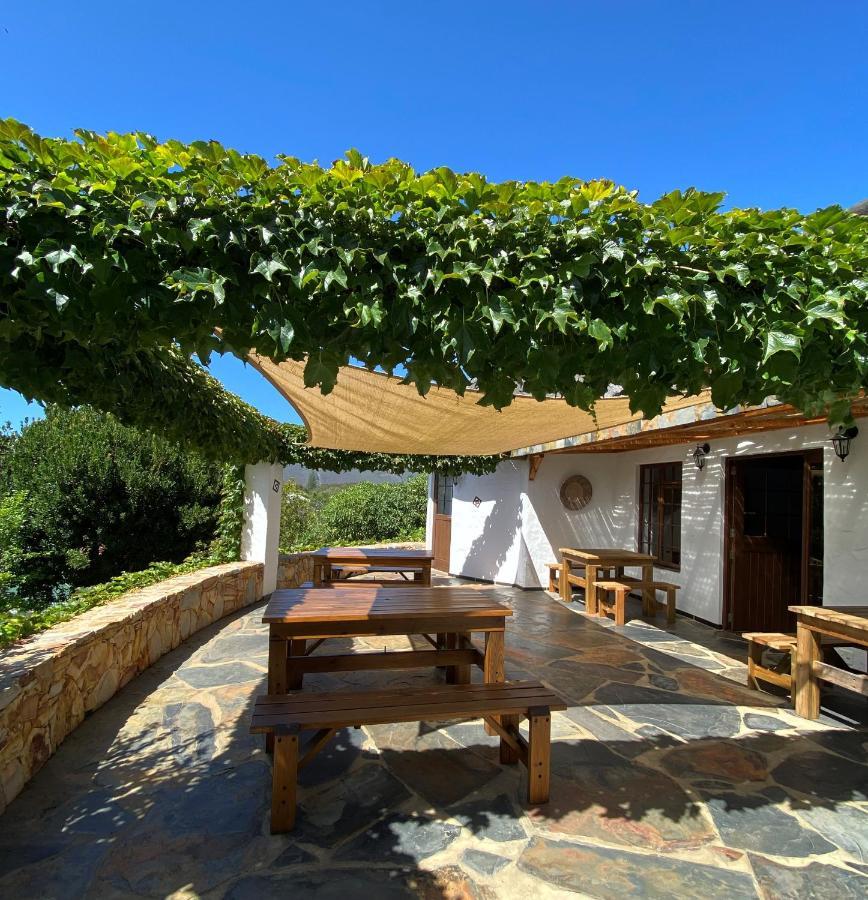 Badger'S Lodge Knysna Exterior foto