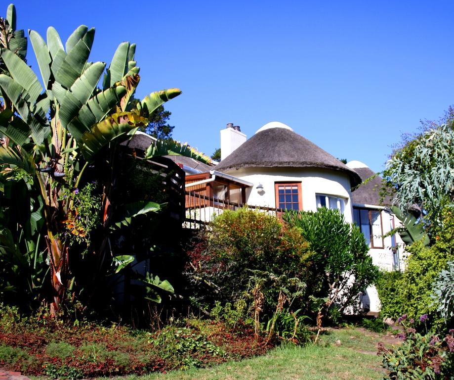 Badger'S Lodge Knysna Exterior foto
